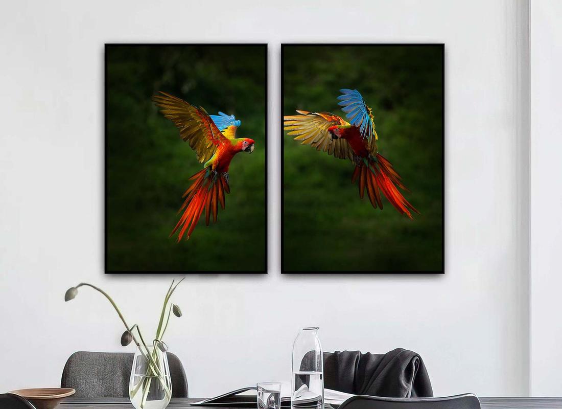 Quadro decorativo 2 telas - Esplendor de Papagaios Coloridos - 2T075