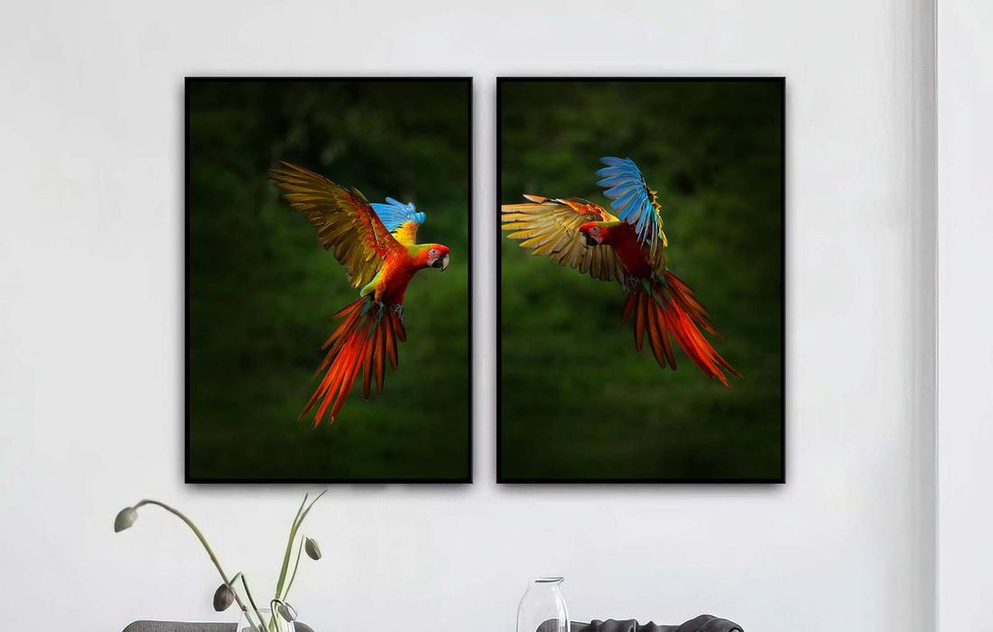 Quadro decorativo 2 telas - Esplendor de Papagaios Coloridos - 2T075